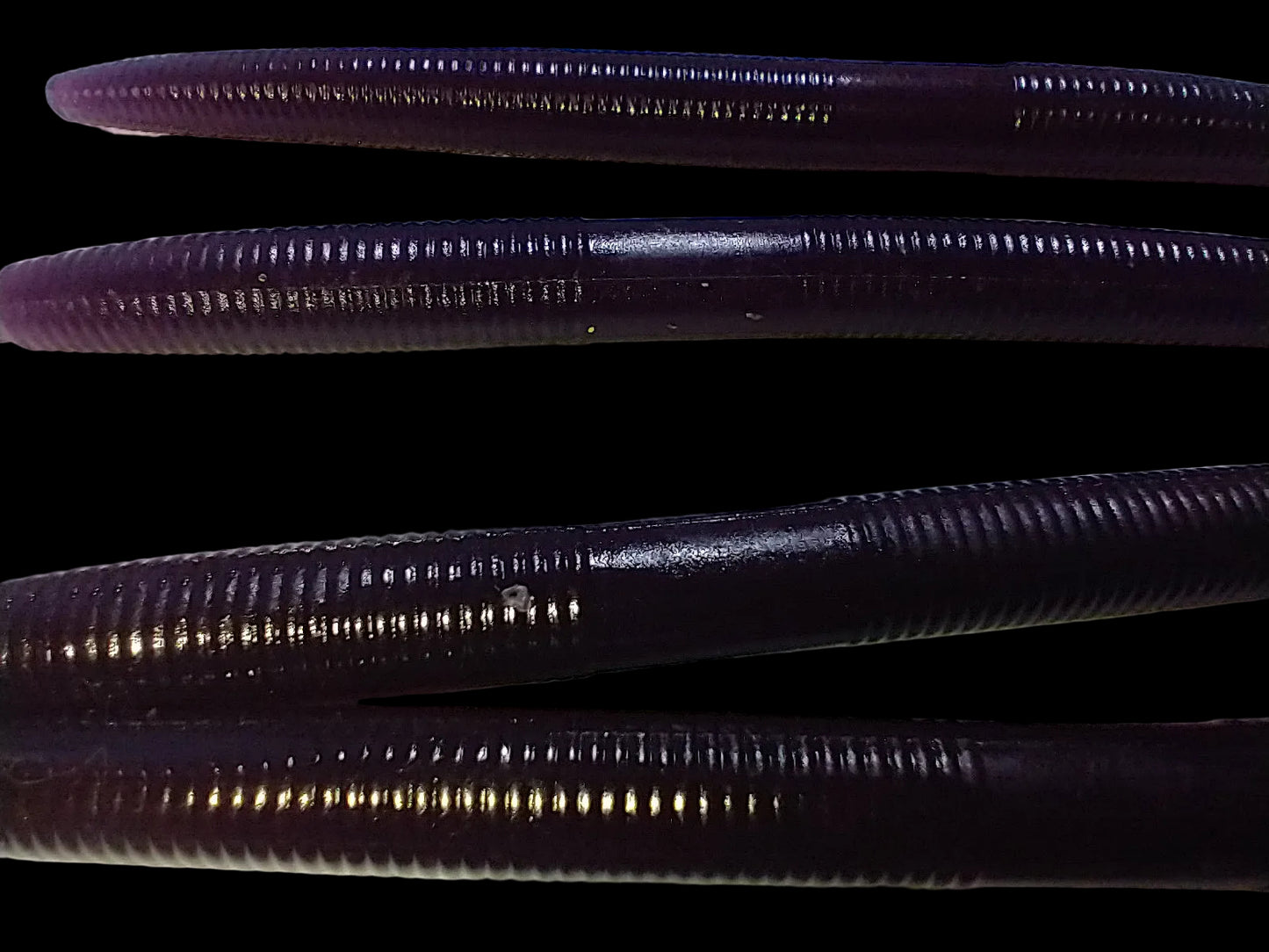 6" Stick Worm